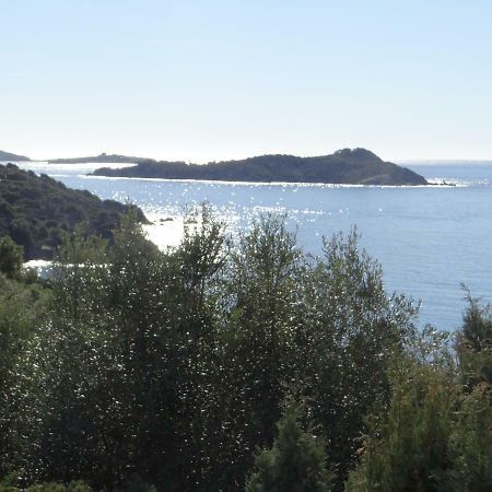 Appartement T2 50M² Vue Mer Presqu'Il De Giens. Rc イエール エクステリア 写真